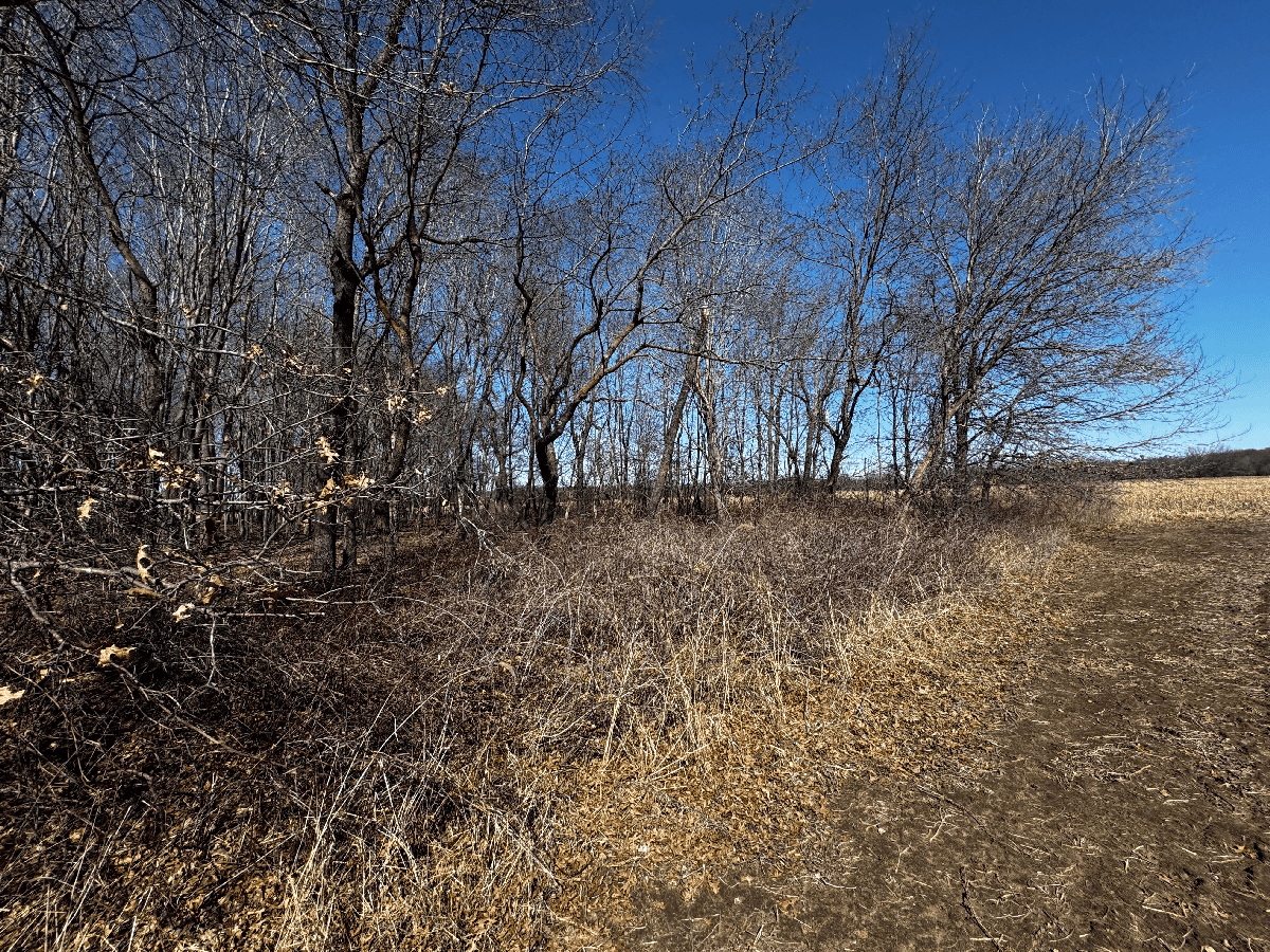 66.48 Acres located in the Town of Lewiston Columbia County