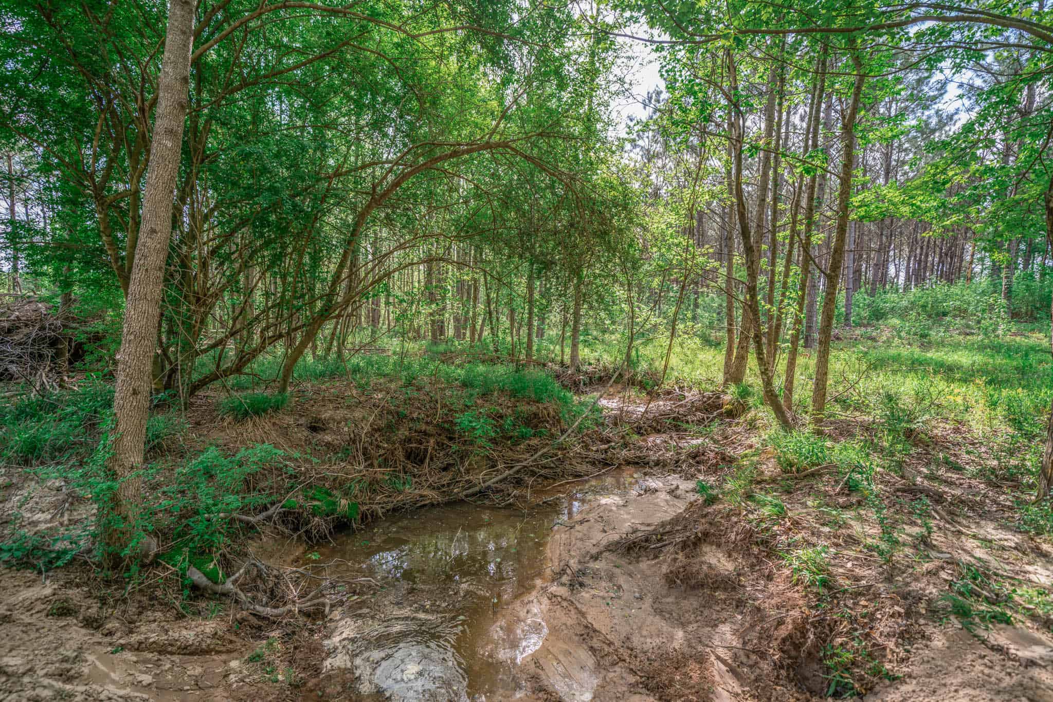 Twin Pine Ranch, An Exceptional East Texas Ranch Property