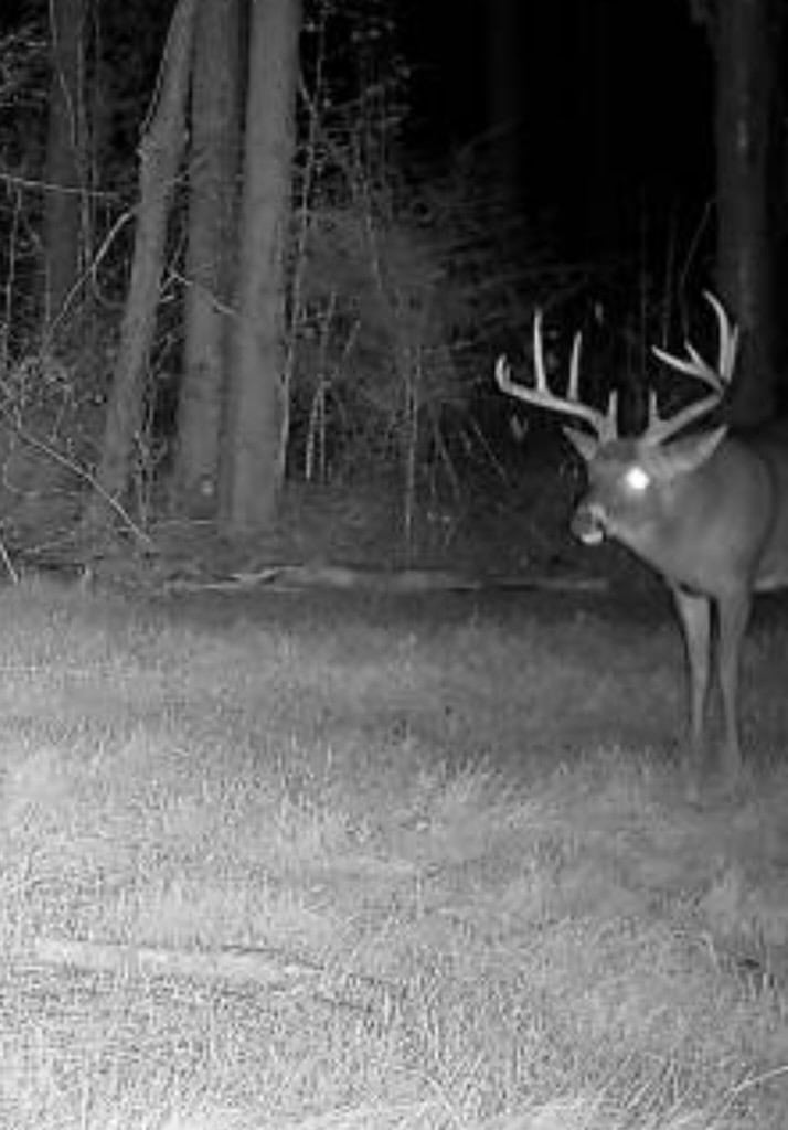 Amite County Hunting Land for Sale