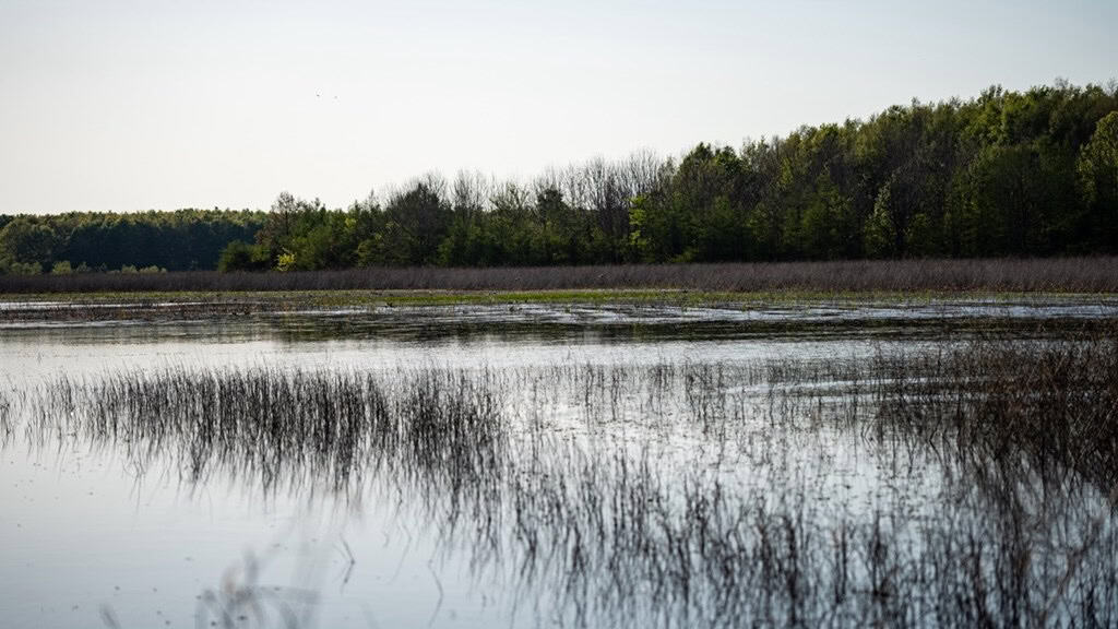 Legacy Waterfowl Hunting in the Mississippi Delta