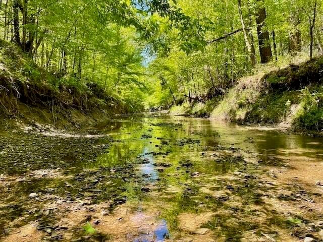 69 Acres For Sale Starkville MS