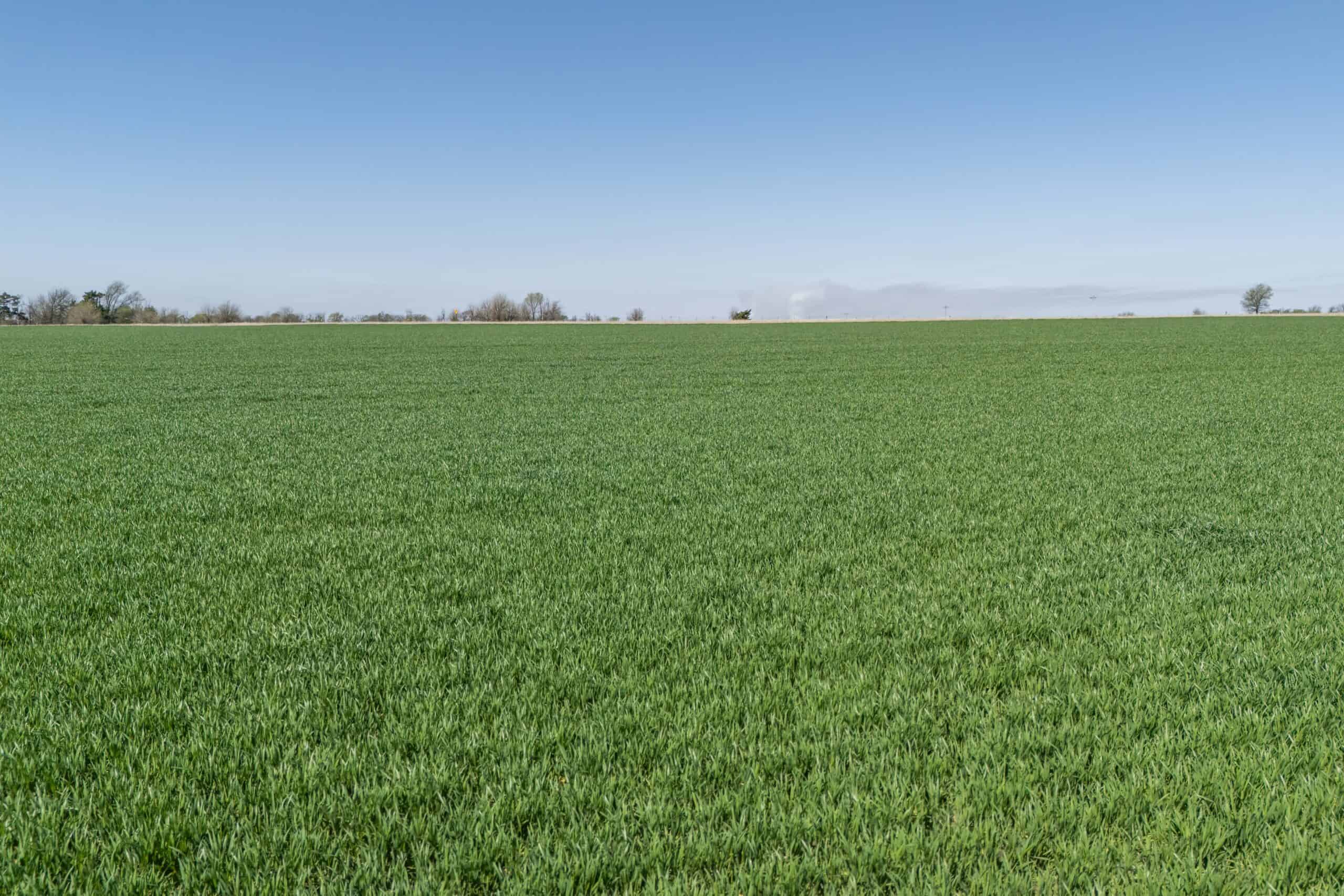 Montgomery County, KS Mixed-Use On-Line Land Auction