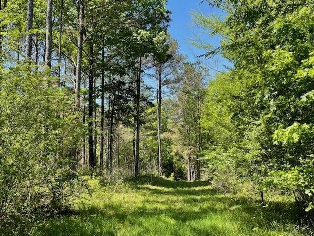 40 Acres For Sale Starkville MS