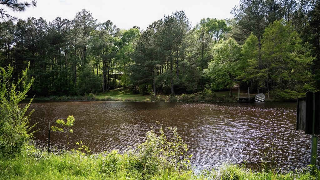 183 Acres and Camp for Sale with Lake, Timber Amite Co., MS