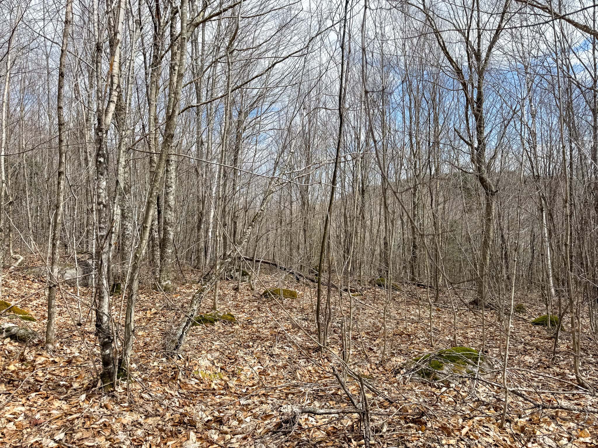 40.8 Acres of Off-Grid Paradise in Lakeville, Maine