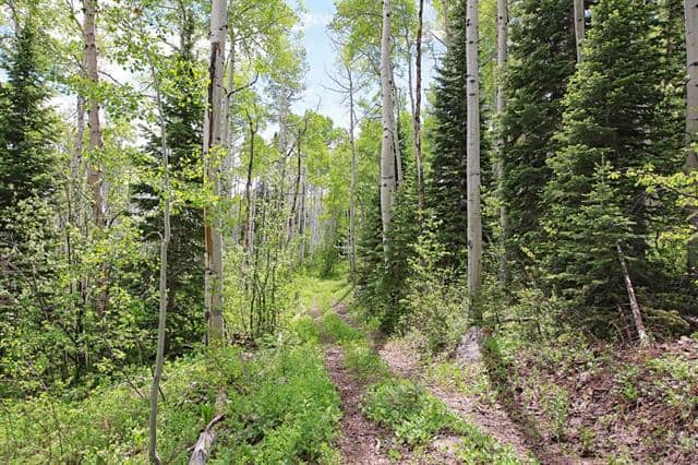 Colorado Hunting Land For Sale Near Vega State Park