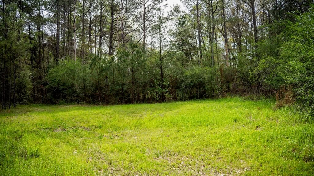 Affordable Property in Woodville, MS