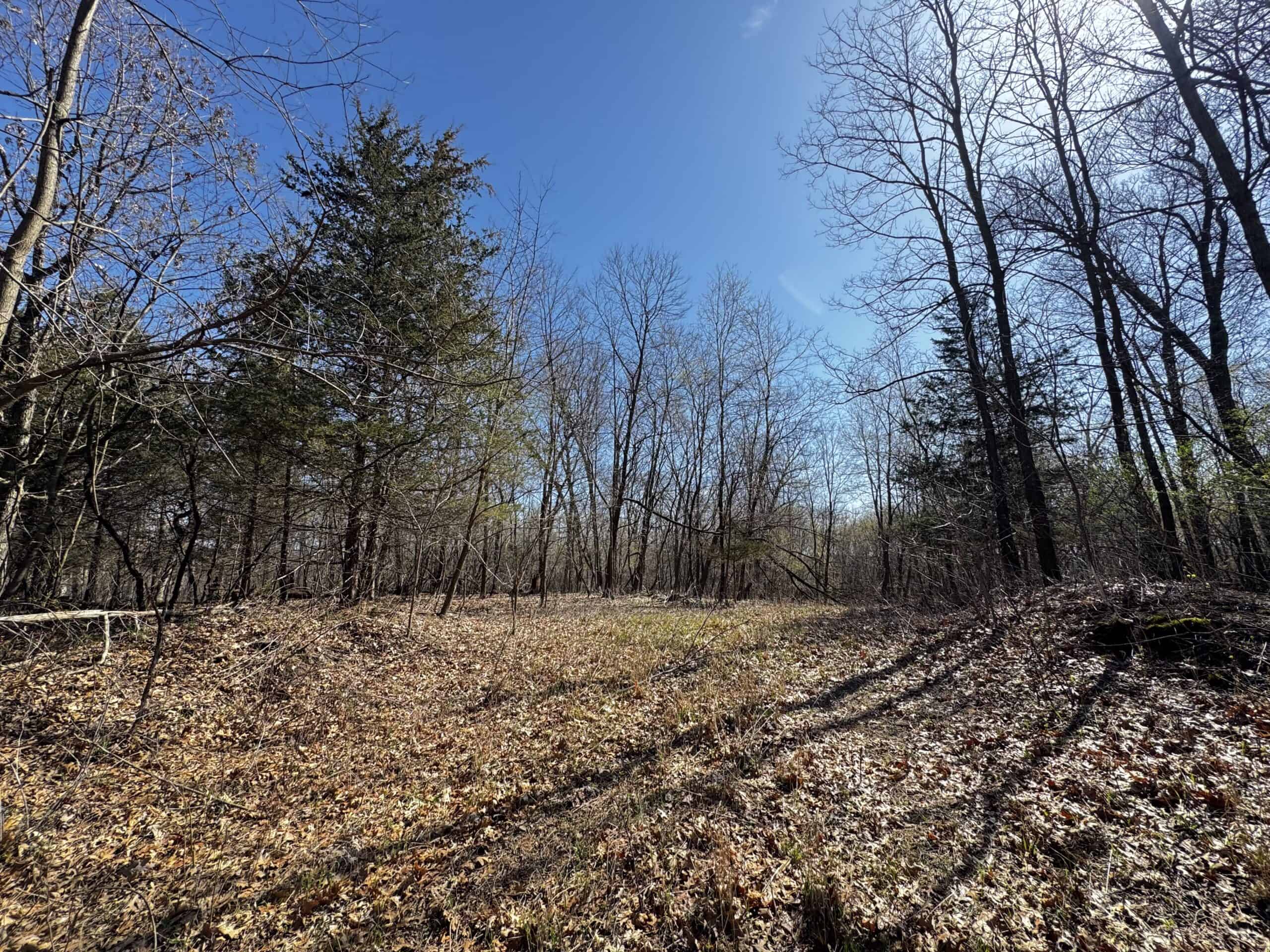 2 Properties Marquette County Online Only Auction