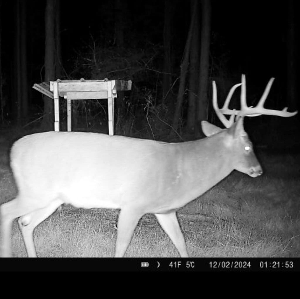 Amite County Hunting Land for Sale