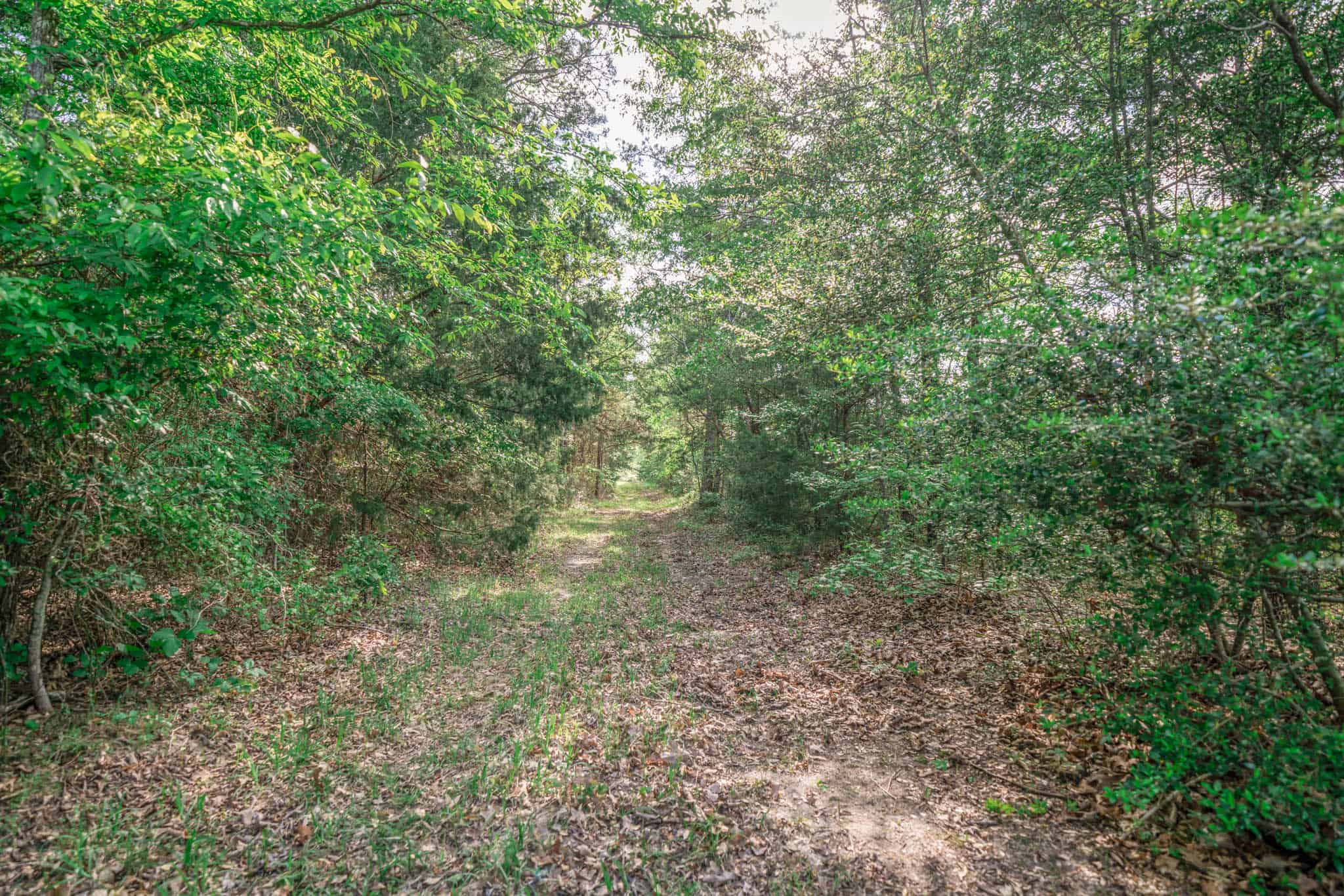Twin Pine Ranch, An Exceptional East Texas Ranch Property