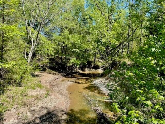 69 Acres For Sale Starkville MS