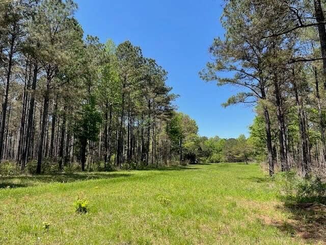 40 Acres For Sale Starkville MS