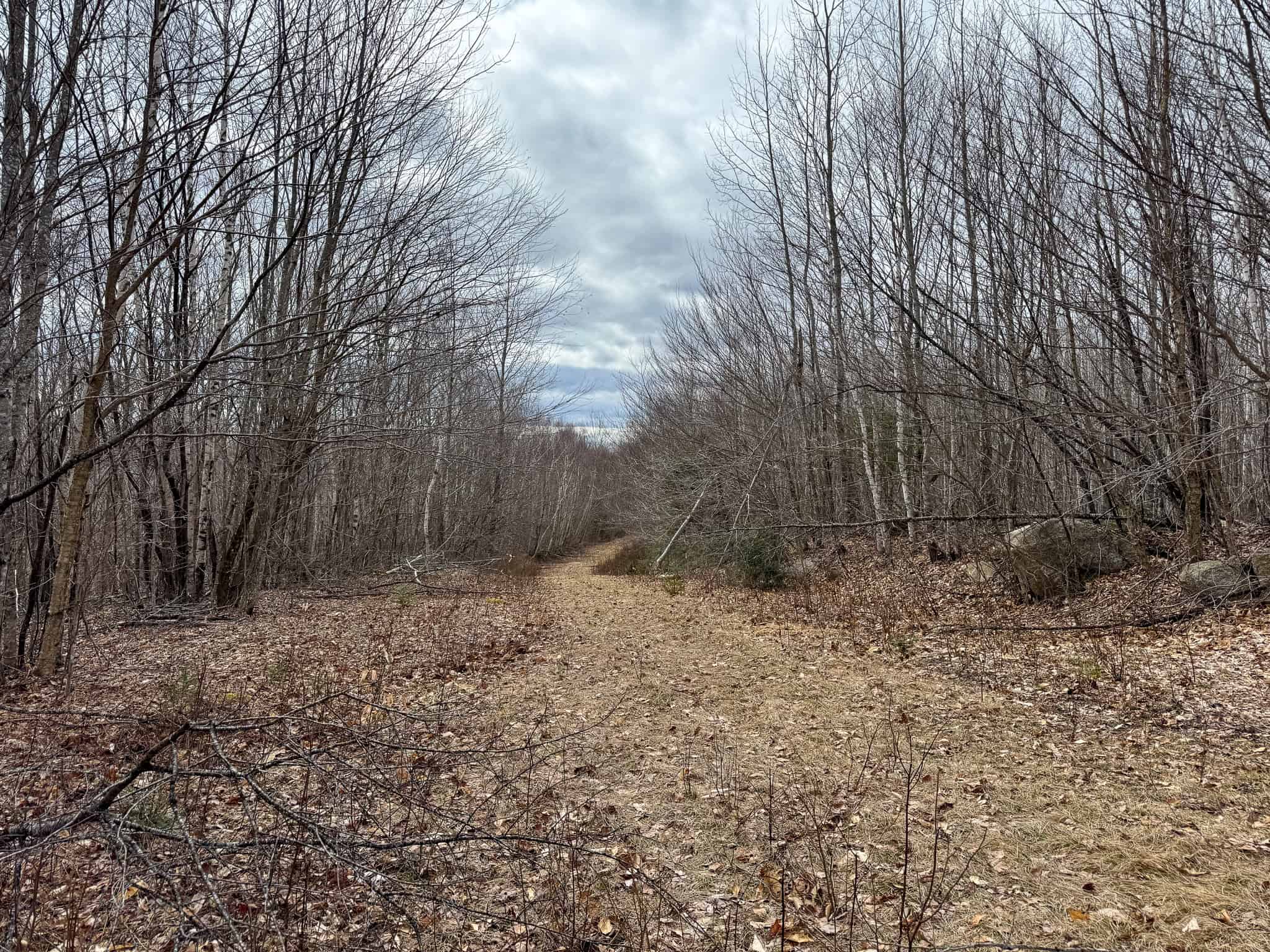 40.8 Acres of Off-Grid Paradise in Lakeville, Maine
