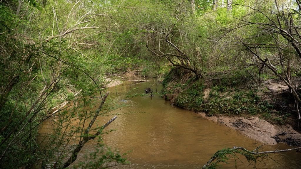 183 Acres and Camp for Sale with Lake, Timber Amite Co., MS