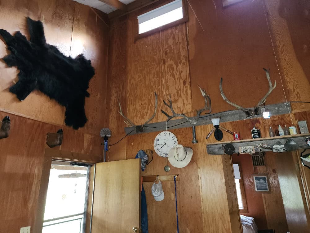 Cabin on 36 Acres with National Forest Access