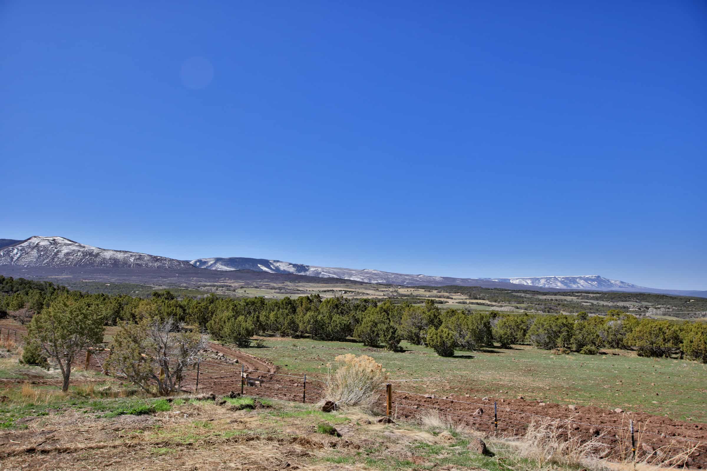 Home, Shop, Acreage with Ponds in 2 Parcels For Sale in Mesa County