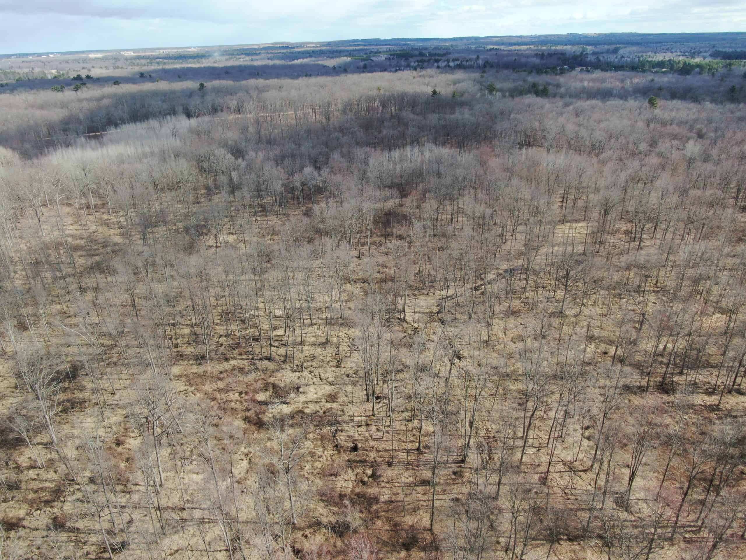 75-acre parcel in the heart of Clark County Wisconsin