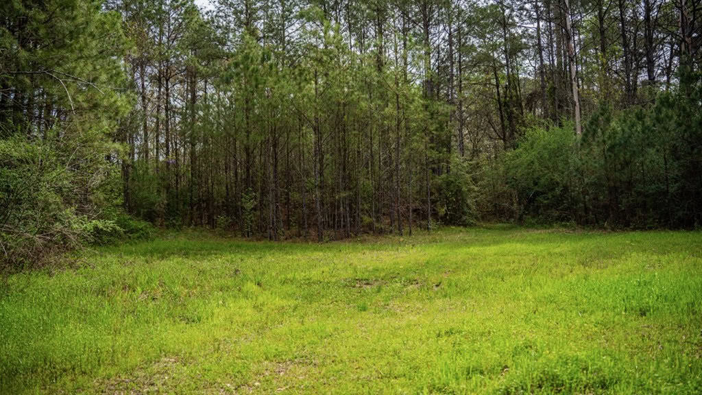 Affordable Property in Woodville, MS