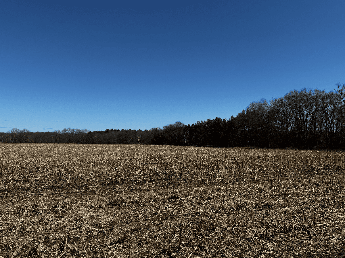 66.48 Acres located in the Town of Lewiston Columbia County