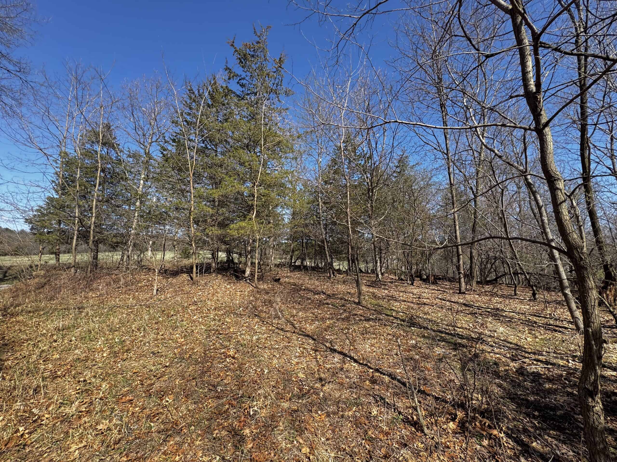 2 Properties Marquette County Online Only Auction