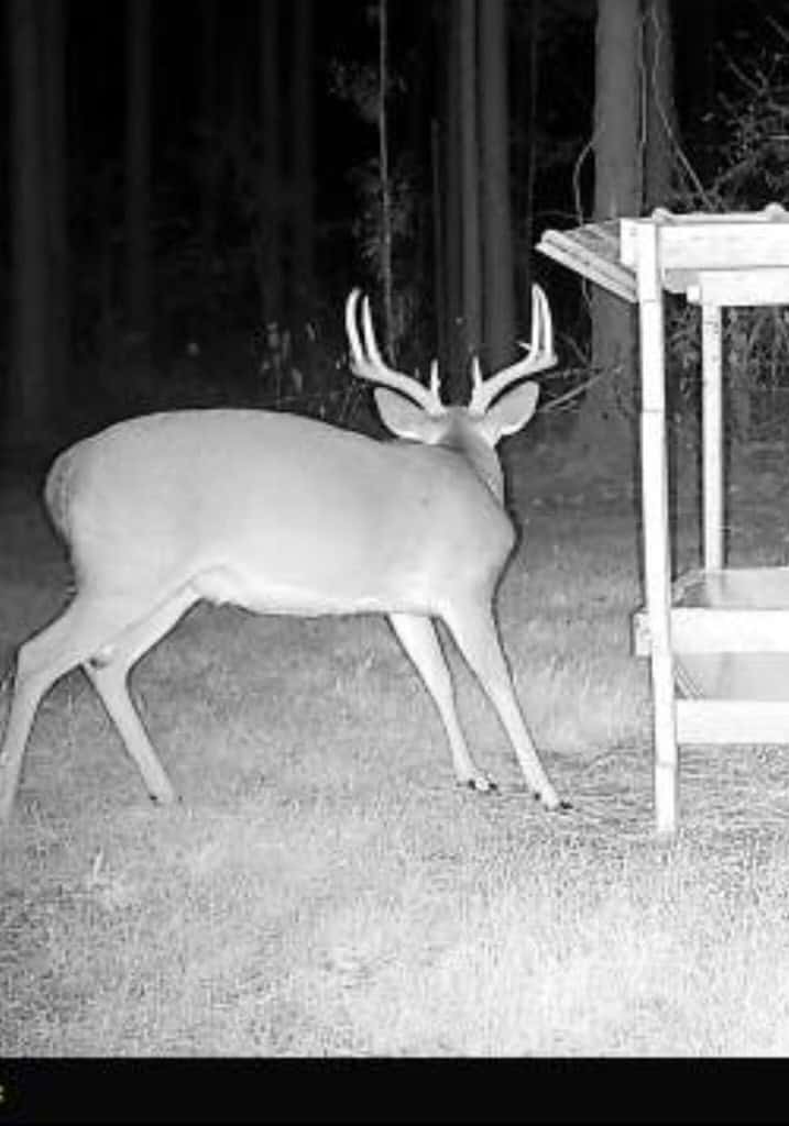 Amite County Hunting Land for Sale