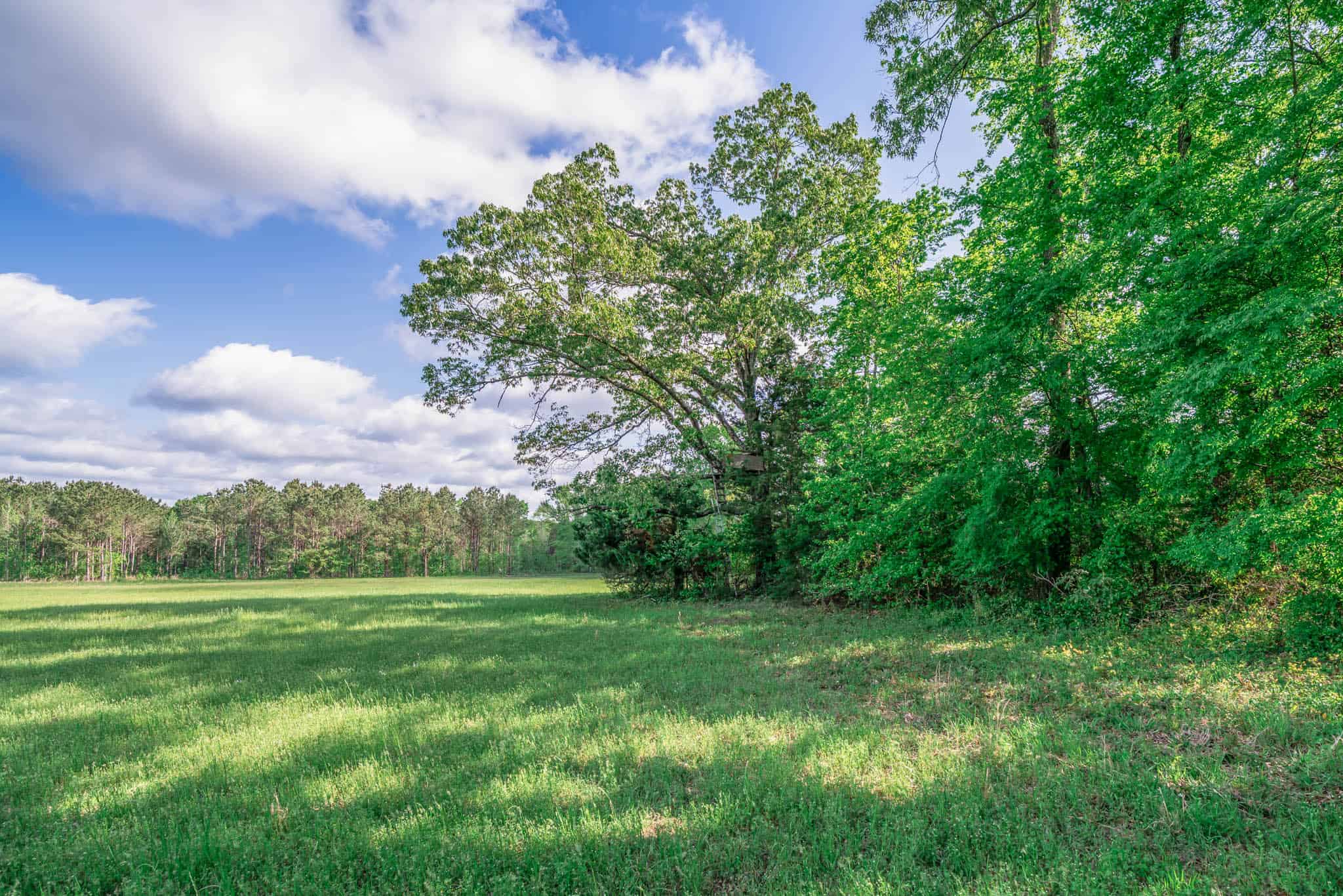 Twin Pine Ranch, An Exceptional East Texas Ranch Property