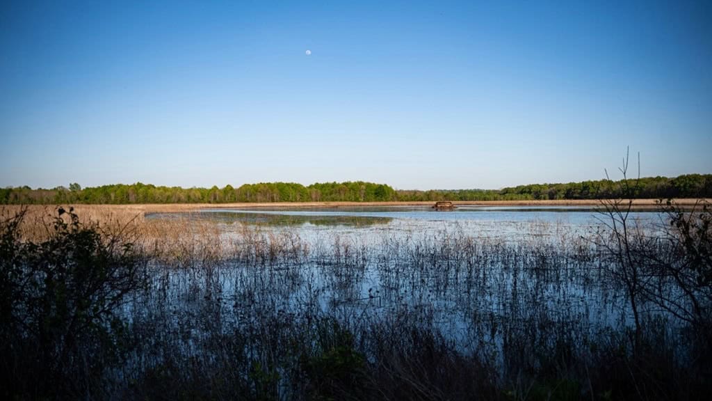 Legacy Waterfowl Hunting in the Mississippi Delta