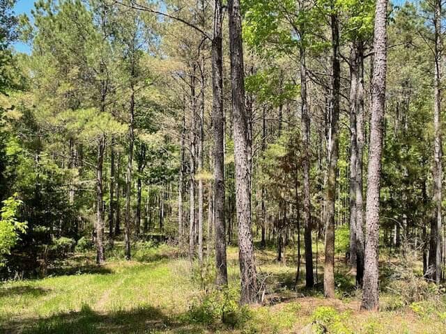 40 Acres For Sale Starkville MS