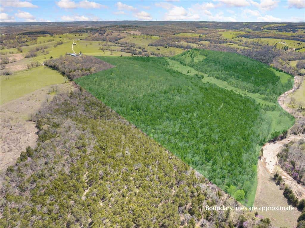 120 Acres Arkansas Hunting Land For Sale with Creek Frontage and Trails