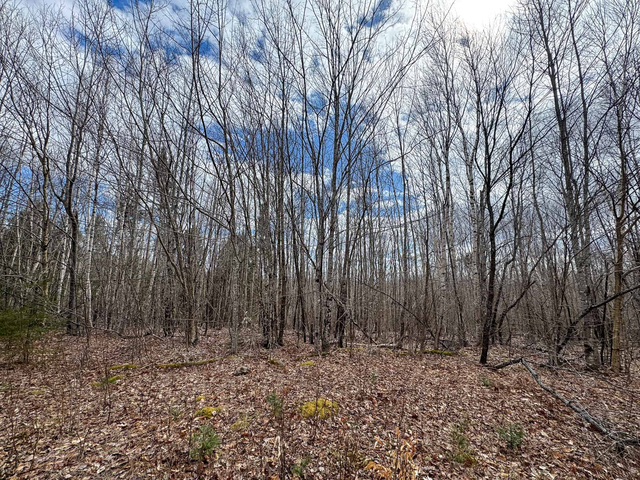 40.8 Acres of Off-Grid Paradise in Lakeville, Maine