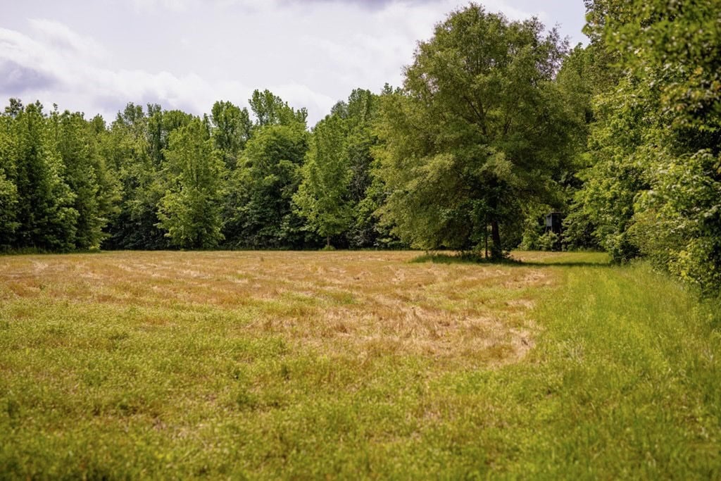 Deer, Duck, and Turkey Hunting in Claiborne County, MS
