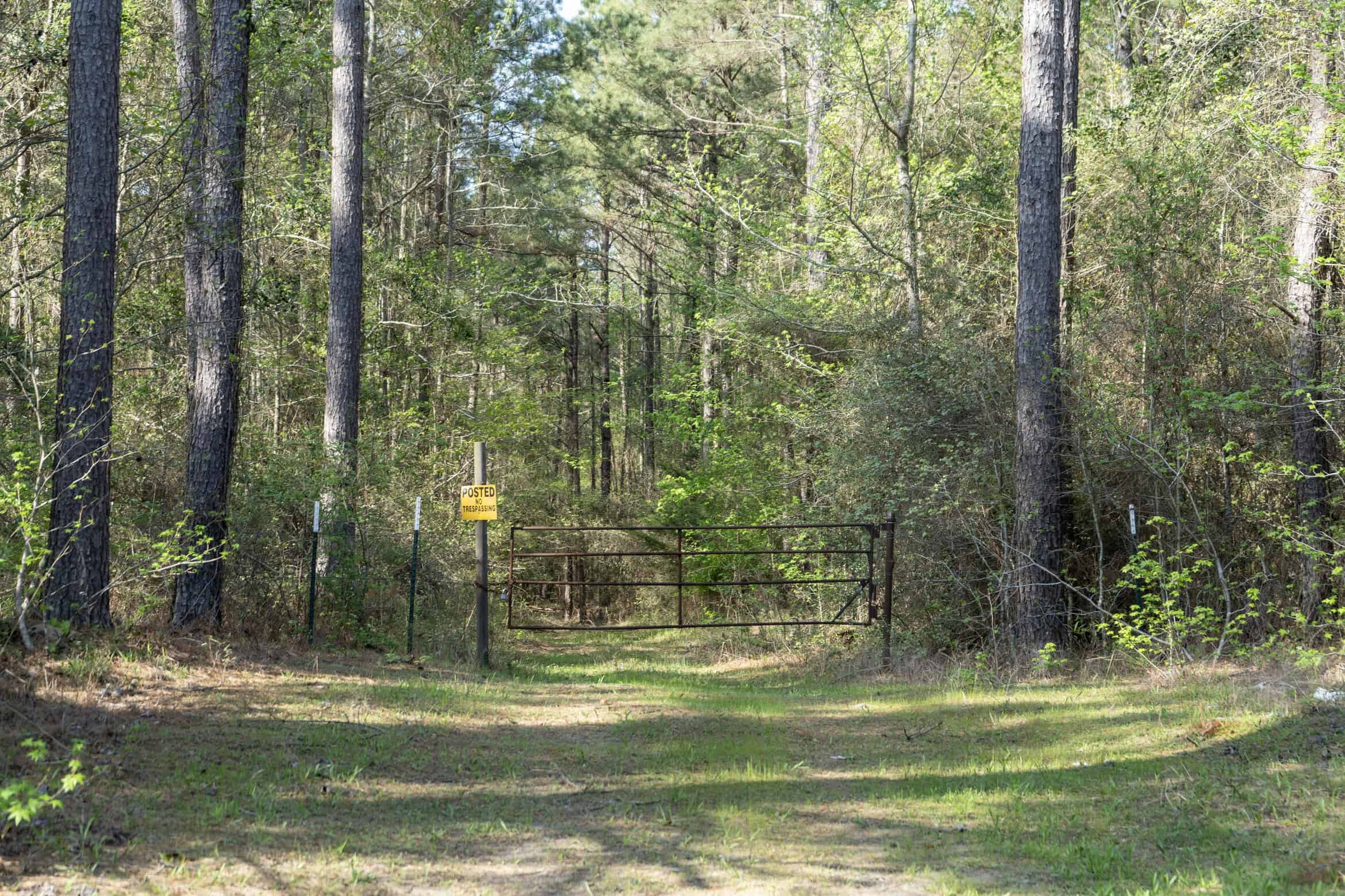 Longstraw 53 (Tract 2) Jackson Parish Timberland