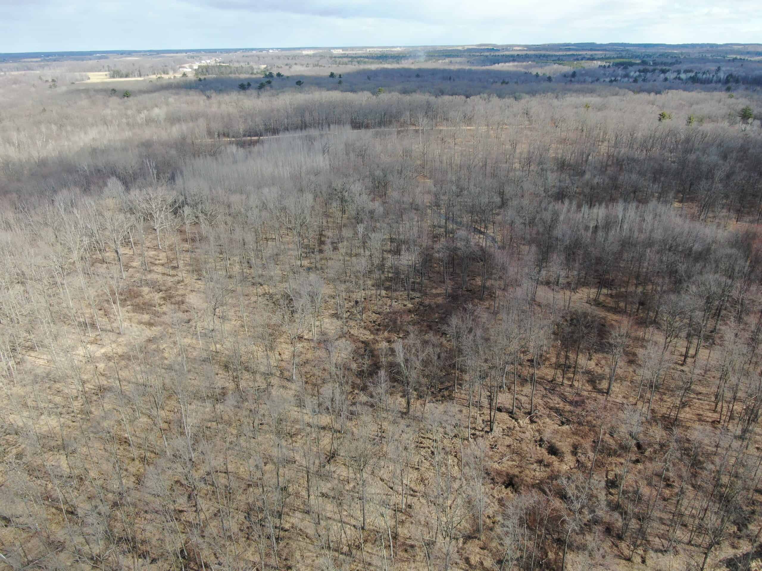 75-acre parcel in the heart of Clark County Wisconsin