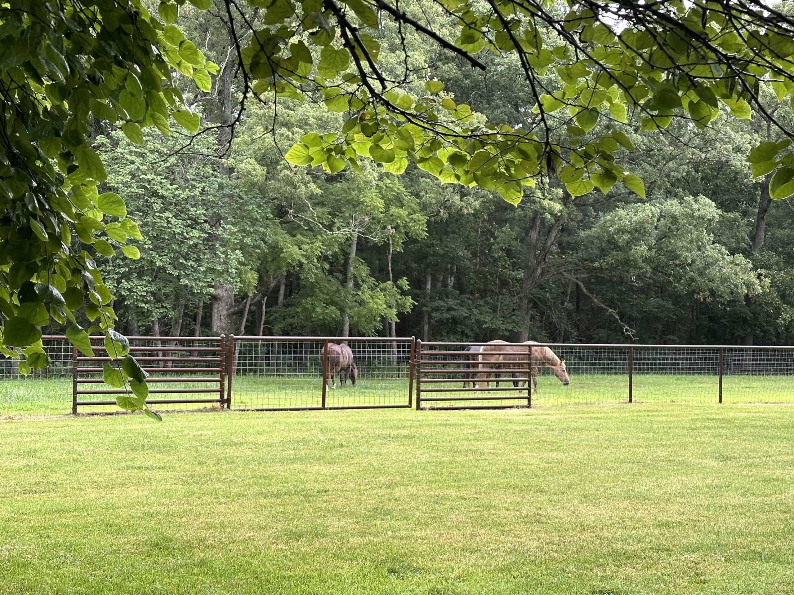 Hunter’s Paradise in the Heart of Missouri – Elk Head Lodge, Bland, MO