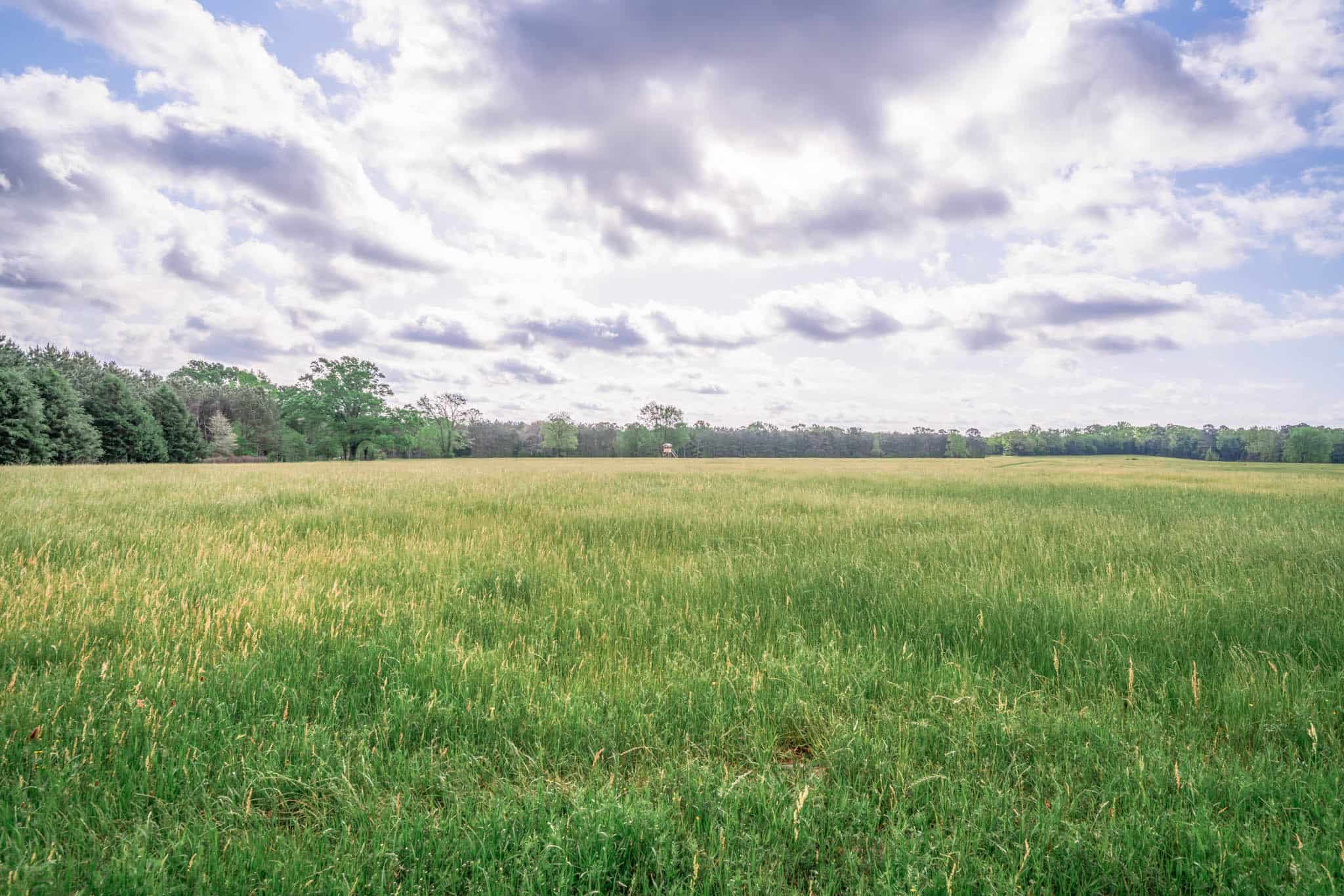 Twin Pine Ranch, An Exceptional East Texas Ranch Property