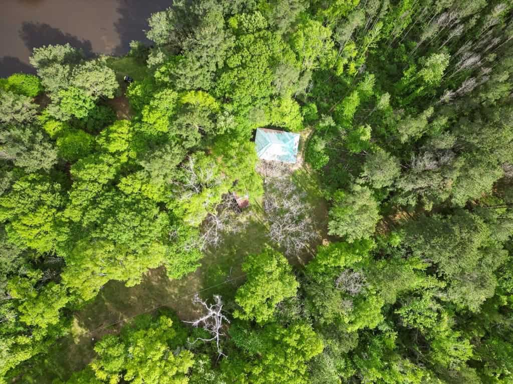183 Acres and Camp for Sale with Lake, Timber Amite Co., MS