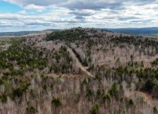 40.8 Acres of Off-Grid Paradise in Lakeville, Maine