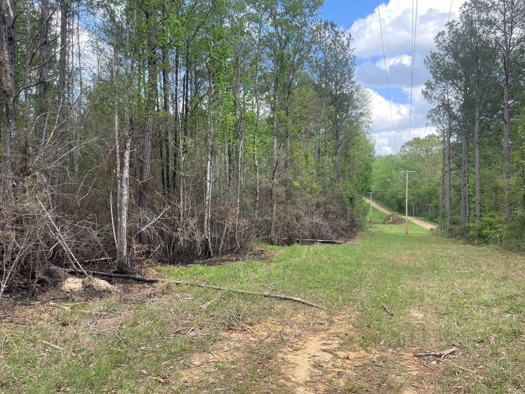 Amite County 38.6 Acres For Sale