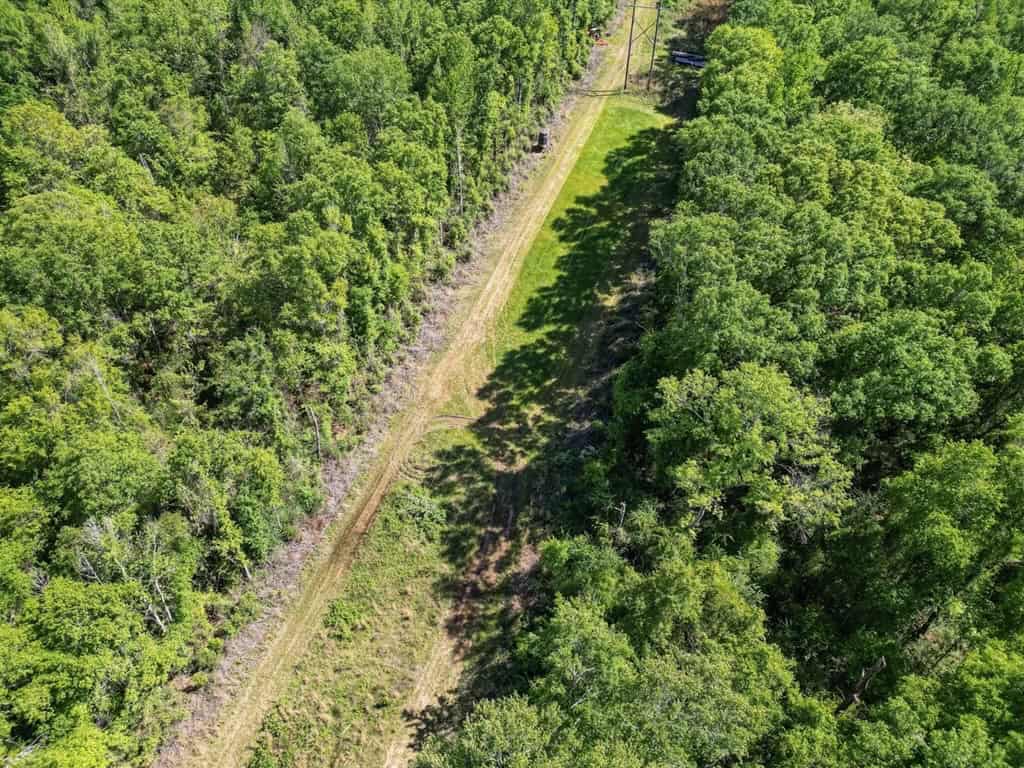 Deer and Turkey Property in Pike County, MS