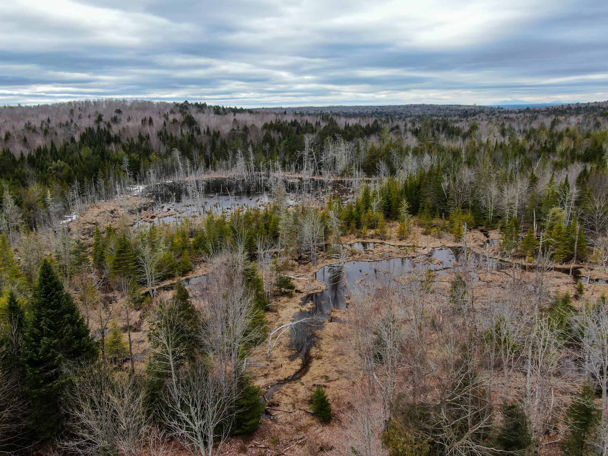 46.8 Acres of Maine Land for Sale – Remote, Forested, Affordable
