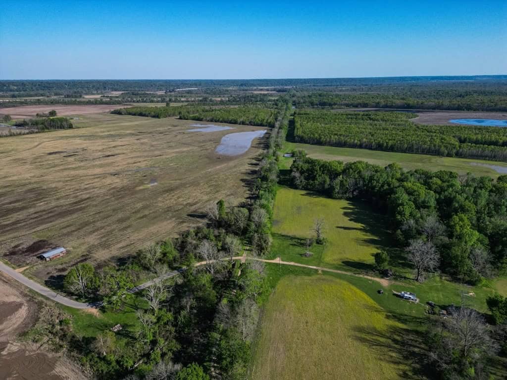 Legacy Waterfowl Hunting in the Mississippi Delta
