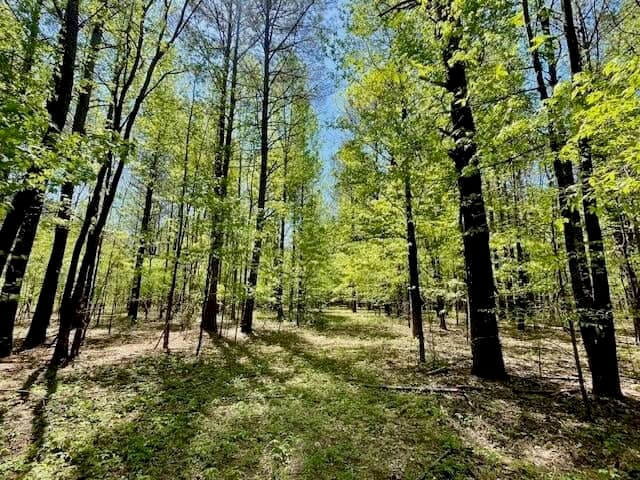 69 Acres For Sale Starkville MS
