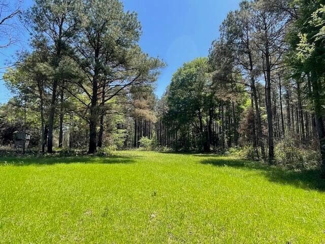 40 Acres For Sale Starkville MS