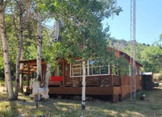 Cabin on 36 Acres with National Forest Access