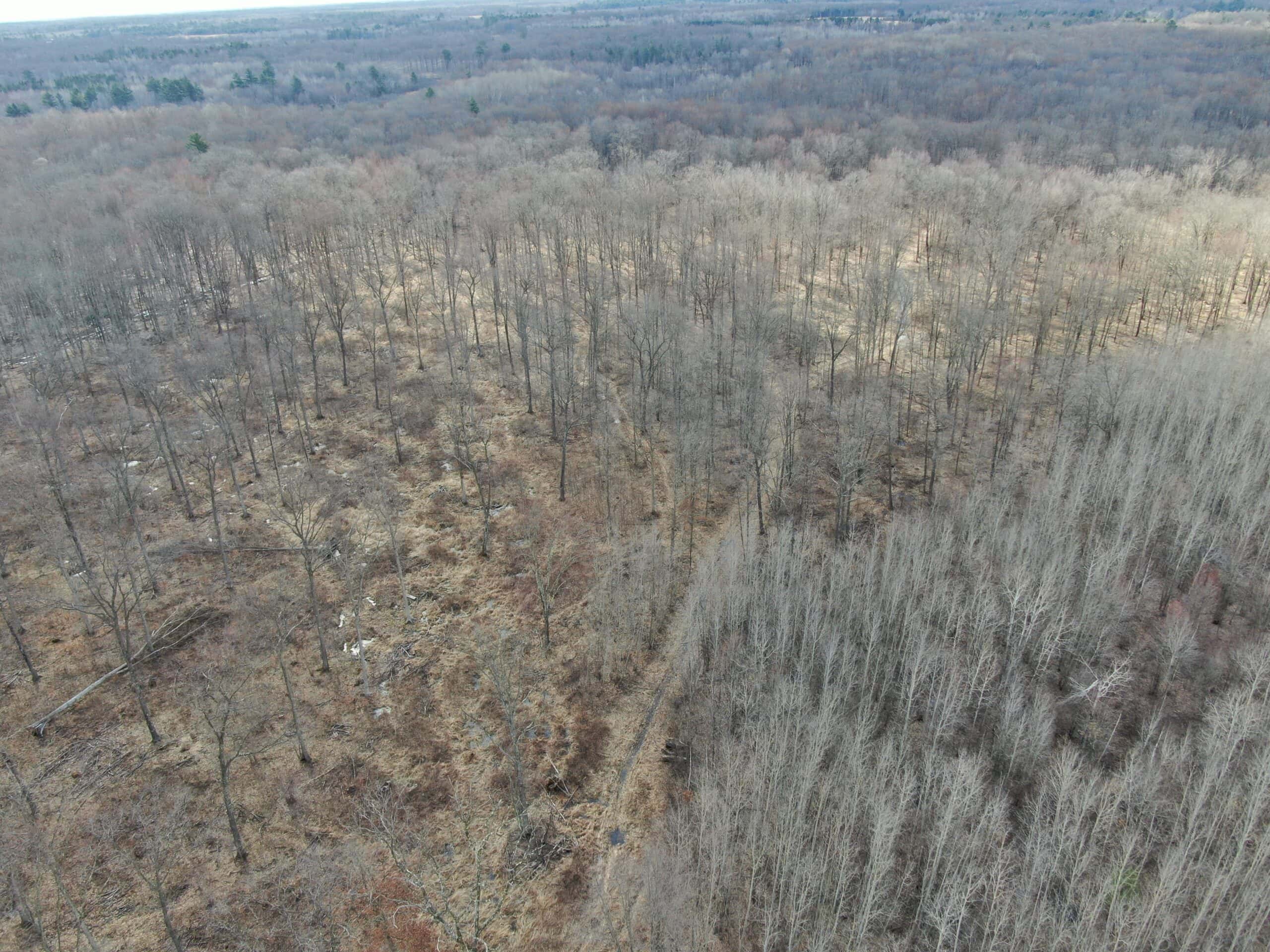 75-acre parcel in the heart of Clark County Wisconsin