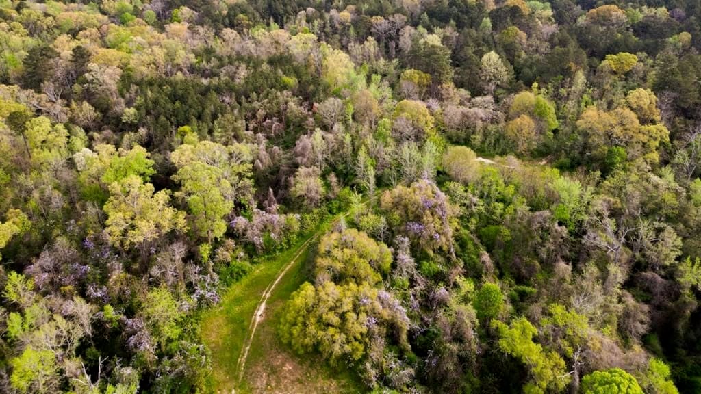Affordable Property in Woodville, MS