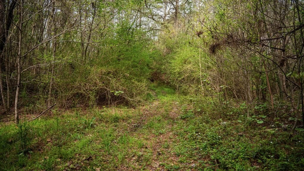 Affordable Property in Woodville, MS