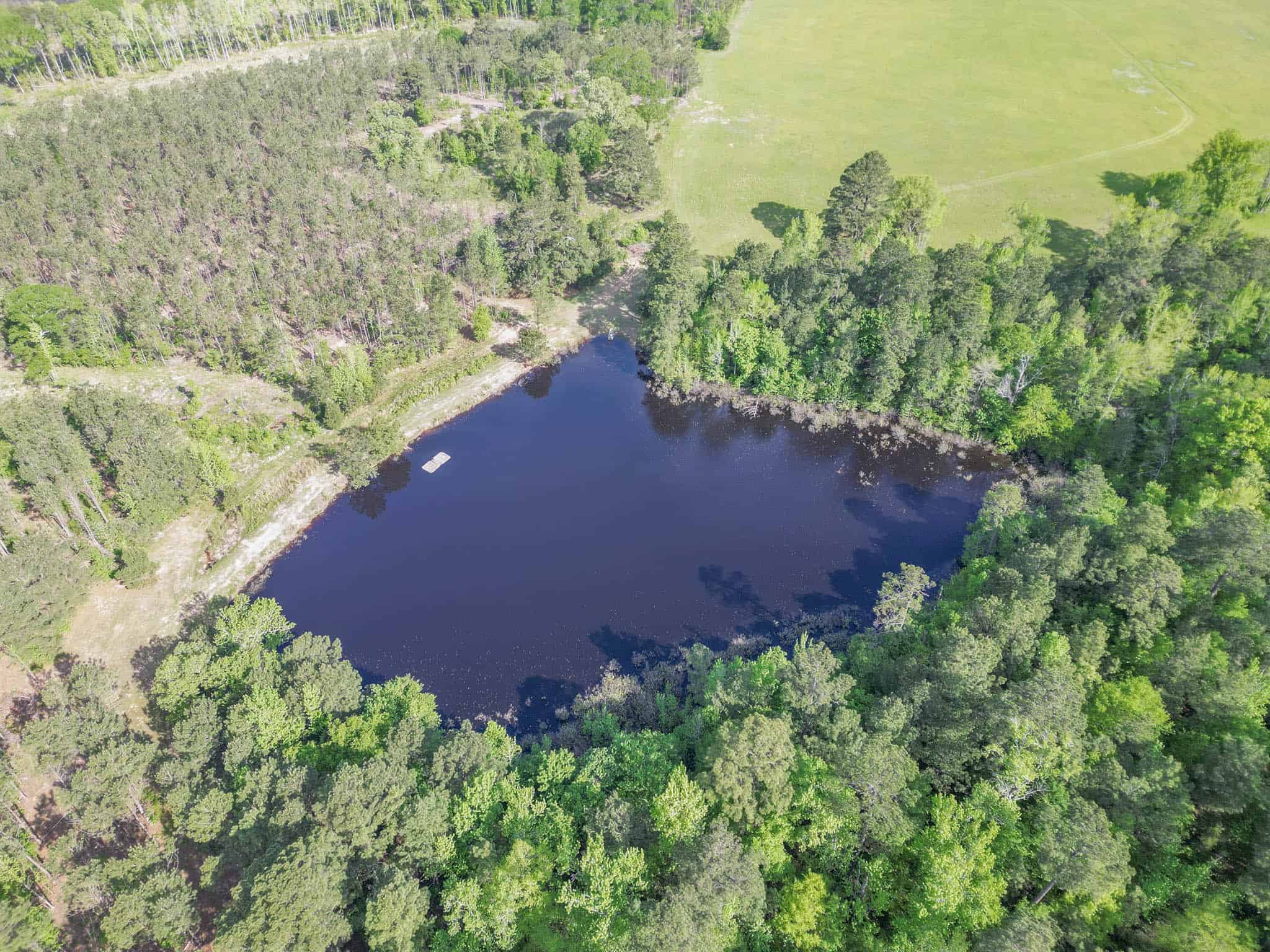 Twin Pine Ranch, An Exceptional East Texas Ranch Property