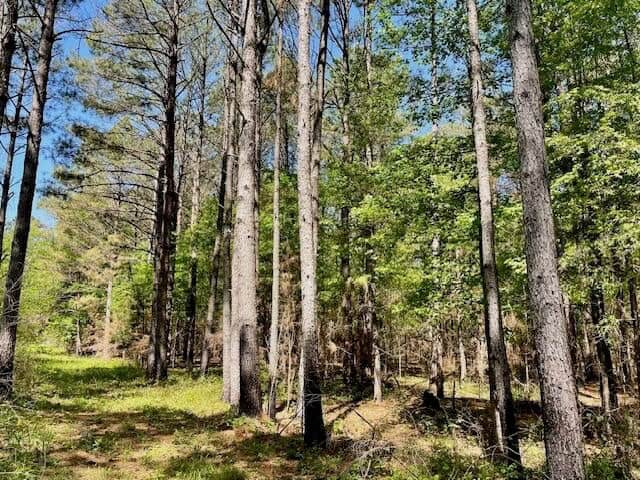 69 Acres For Sale Starkville MS