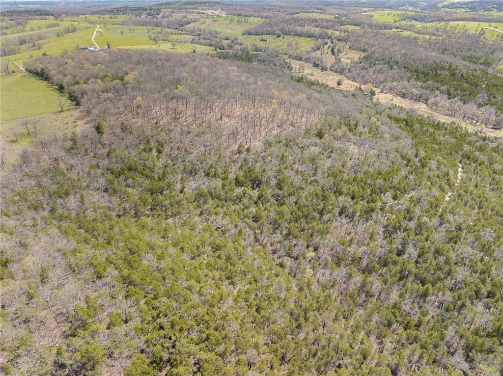 120 Acres Arkansas Hunting Land For Sale with Creek Frontage and Trails